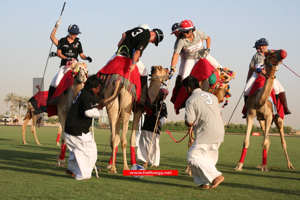 Sheik, rattle & roll in Dubai, the Middle Eastern city that does fun with a capital F